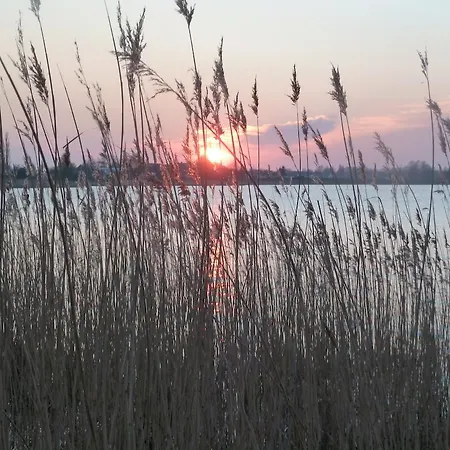 Casa de Férias Haus Sturmschwalbe